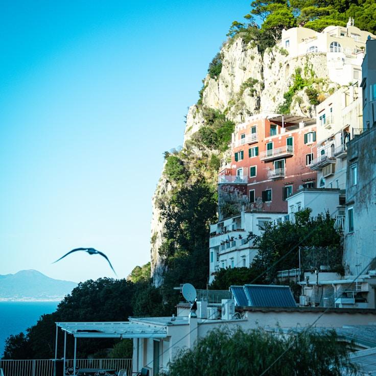 Family terraces and cafés for calm evenings in Vancouver